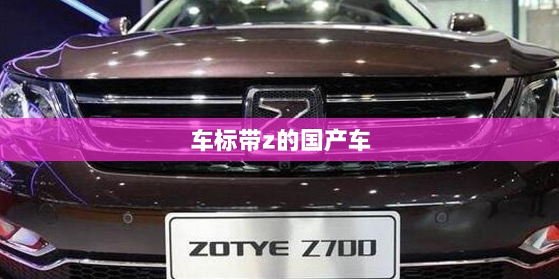 车标带z的国产车