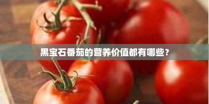 黑宝石番茄的营养价值都有哪些？