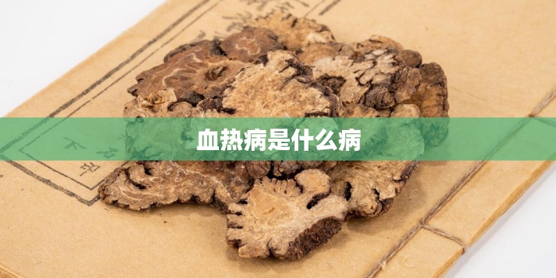 血热病是什么病