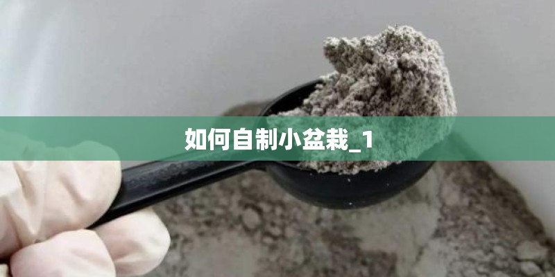 如何自制小盆栽_1