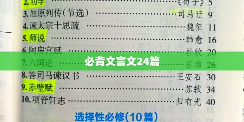 胡子小鸡的角色介绍 胡子小鸡的角色介绍