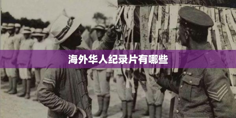 海外华人纪录片有哪些 海外华人纪录片有哪些