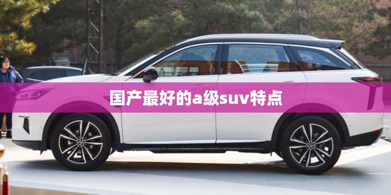 国产最好的a级suv特点 国产最好的a级suv特点