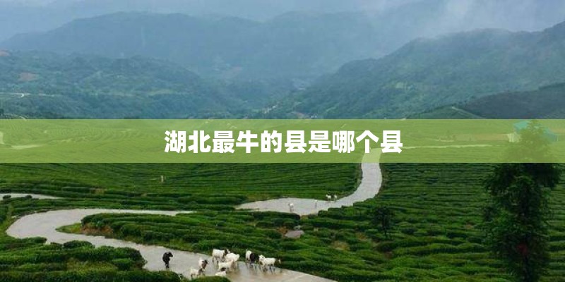 湖北最牛的县是哪个县