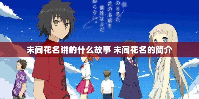 未闻花名讲的什么故事 未闻花名的简介