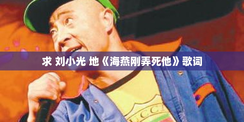 求 刘小光 地《海燕刚弄死他》歌词 求 刘小光 地《海燕刚弄死他》歌词