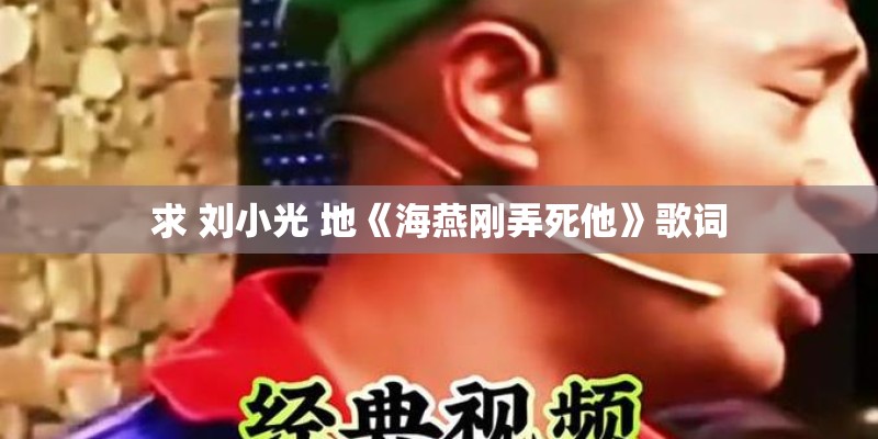 求 刘小光 地《海燕刚弄死他》歌词 求 刘小光 地《海燕刚弄死他》歌词