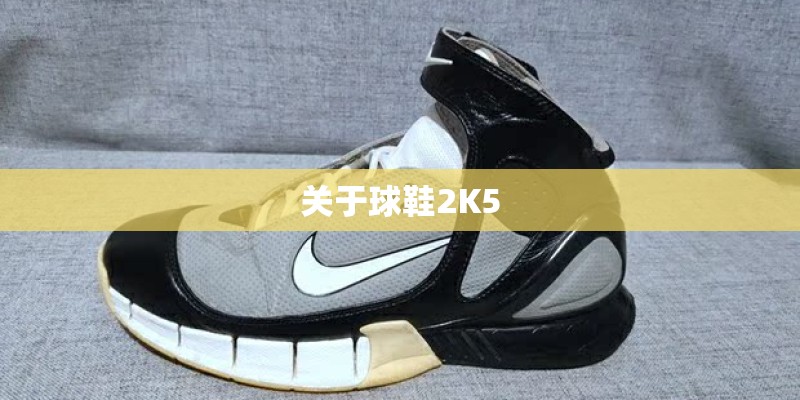 关于球鞋2K5