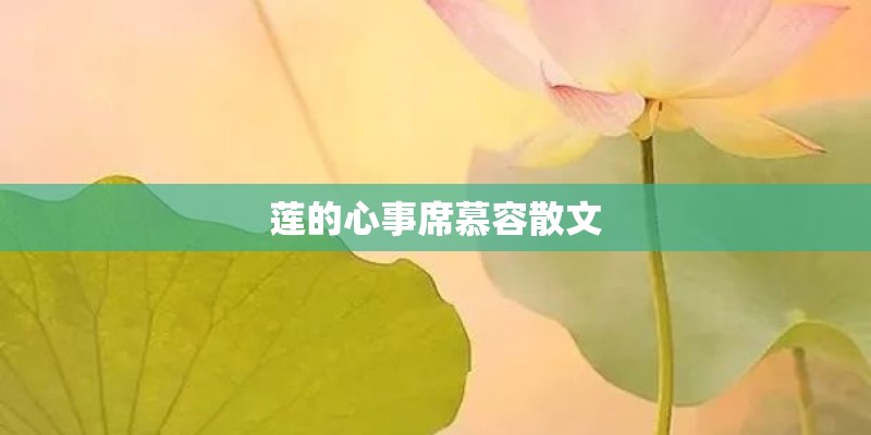 莲的心事席慕容散文