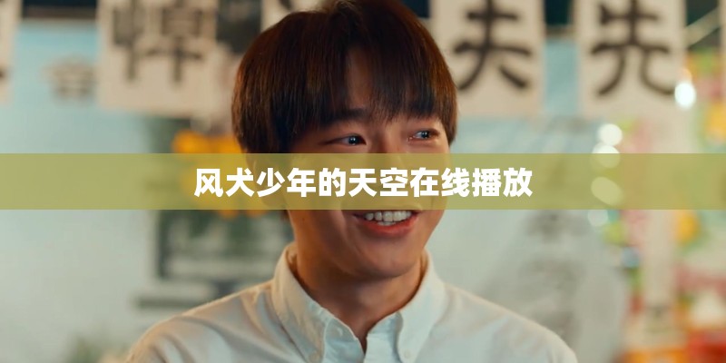风犬少年的天空在线播放 风犬少年的天空在线播放