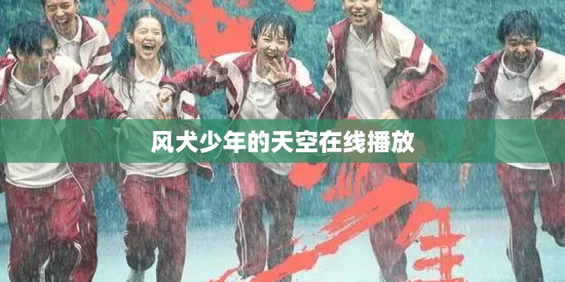 风犬少年的天空在线播放