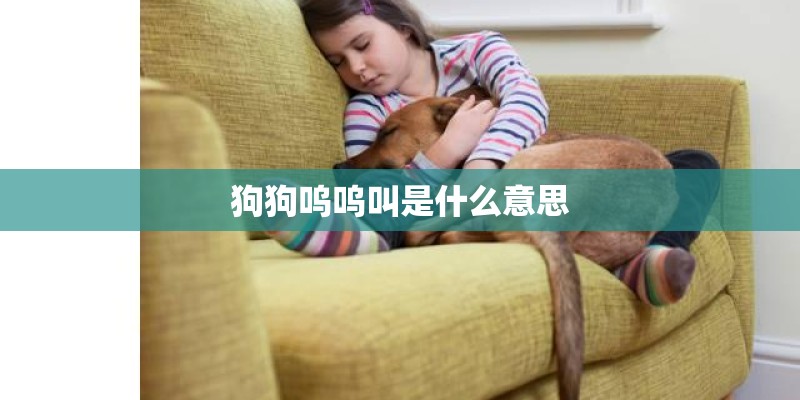 狗狗呜呜叫是什么意思