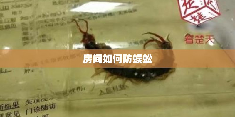 房间如何防蜈蚣