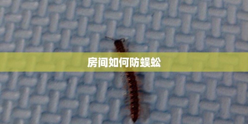 房间如何防蜈蚣 房间如何防蜈蚣