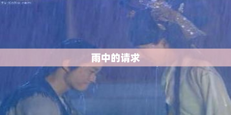 雨中的请求