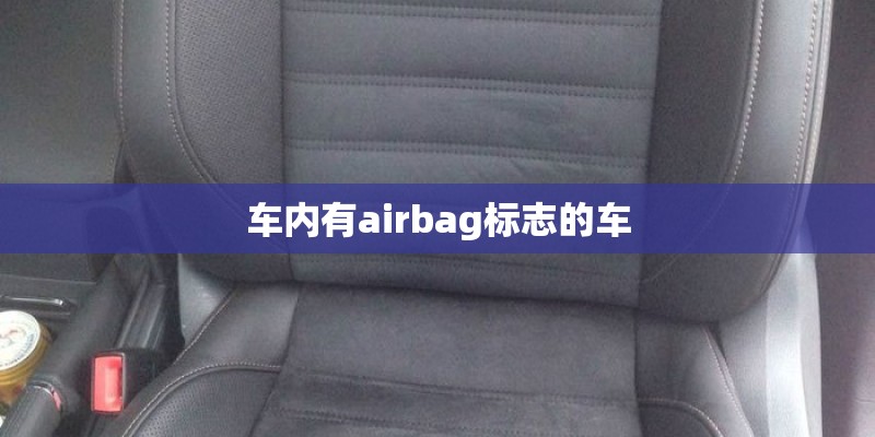 车内有airbag标志的车