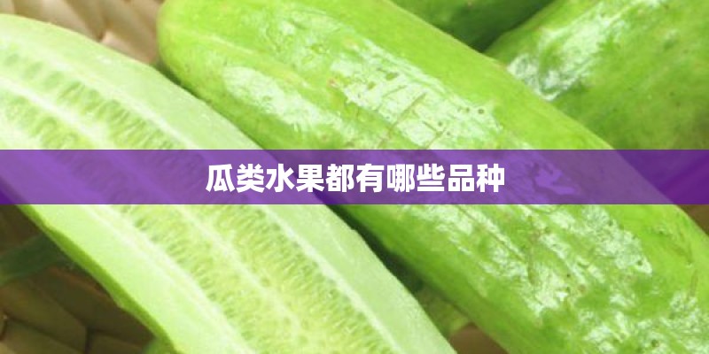 瓜类水果都有哪些品种