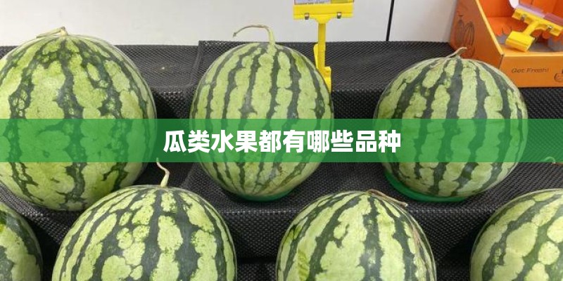瓜类水果都有哪些品种
