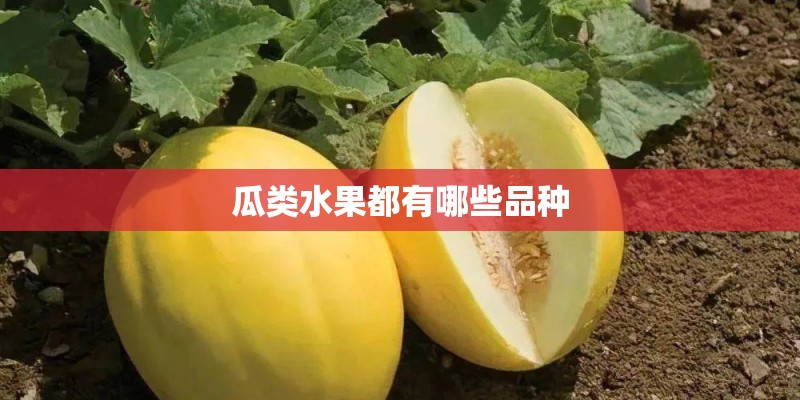 瓜类水果都有哪些品种