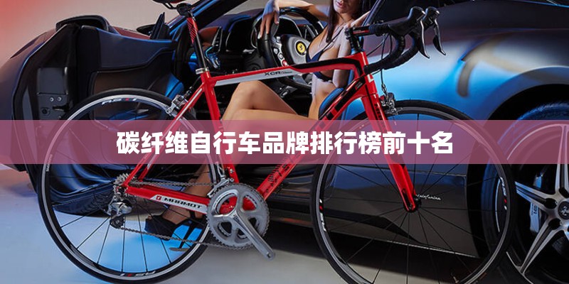 碳纤维自行车品牌排行榜前十名