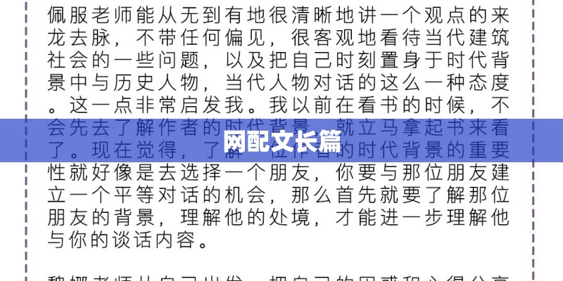 网配文长篇