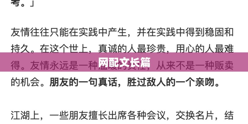 网配文长篇