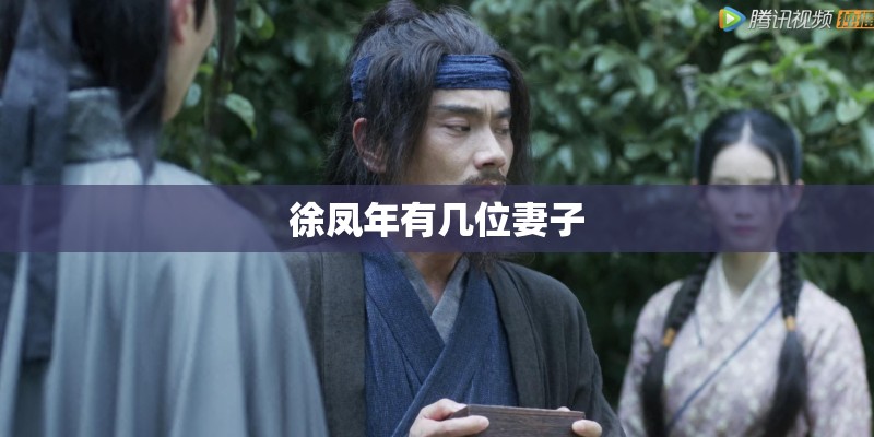 徐凤年有几位妻子
