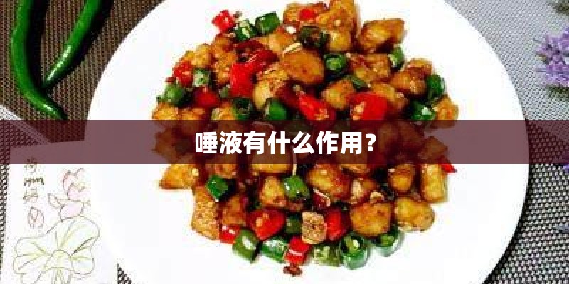 唾液有什么作用？