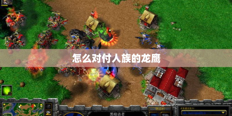 怎么对付人族的龙鹰