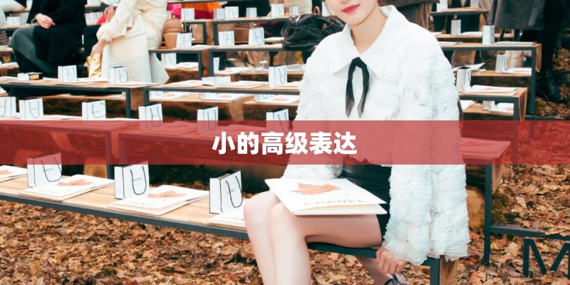 小的高级表达 小的高级表达