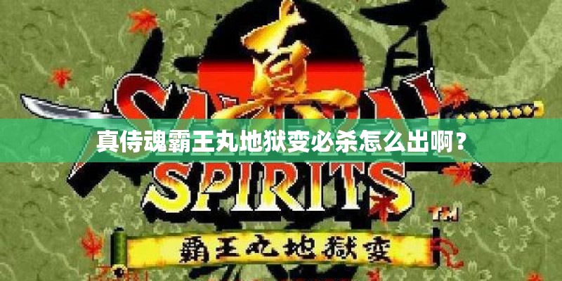 真侍魂霸王丸地狱变必杀怎么出啊？