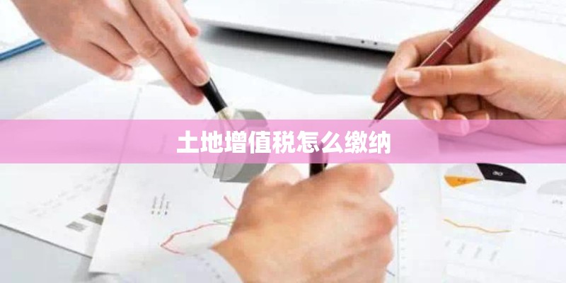 土地增值税怎么缴纳