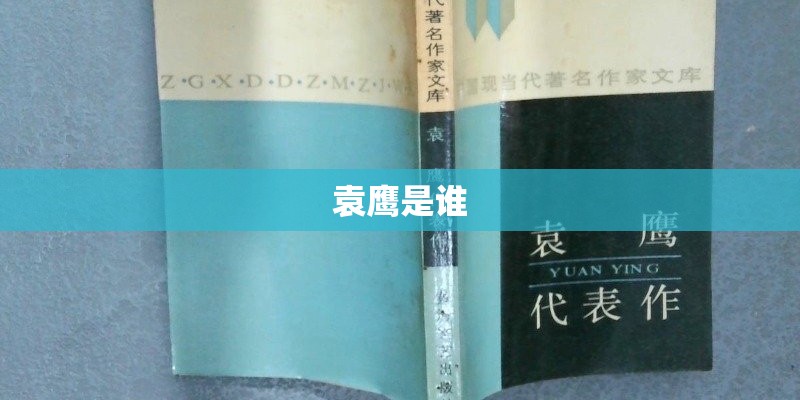 袁鹰是谁