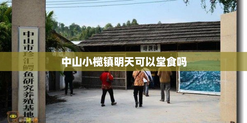 广东湛江地区能种榴莲吗？