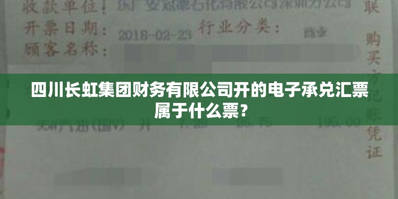 四川长虹集团财务有限公司开的电子承兑汇票 属于什么票？