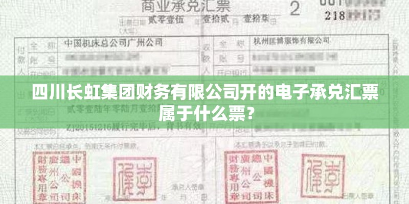 四川长虹集团财务有限公司开的电子承兑汇票 属于什么票？