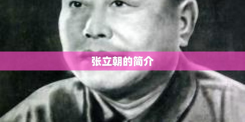 张立朝的简介