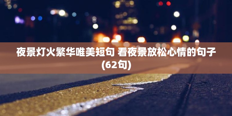 夜景灯火繁华唯美短句 看夜景放松心情的句子(62句)