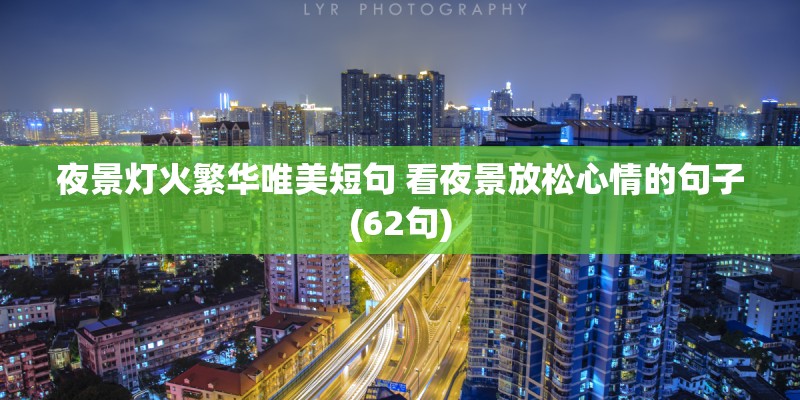 夜景灯火繁华唯美短句 看夜景放松心情的句子(62句)