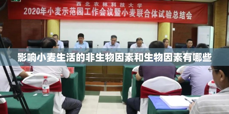 影响小麦生活的非生物因素和生物因素有哪些