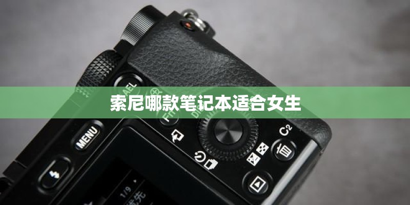 索尼哪款笔记本适合女生