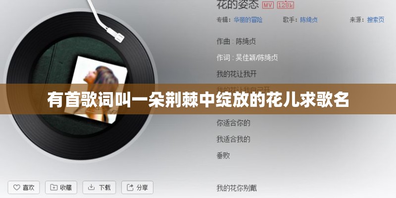 有首歌词叫一朵荆棘中绽放的花儿求歌名