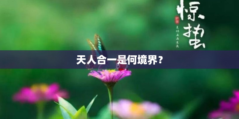 天人合一是何境界？