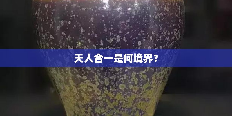 天人合一是何境界？