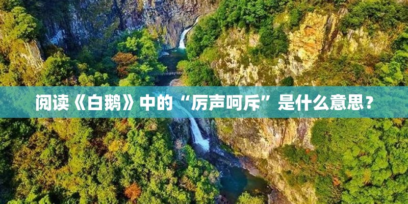 阅读《白鹅》中的“厉声呵斥”是什么意思？