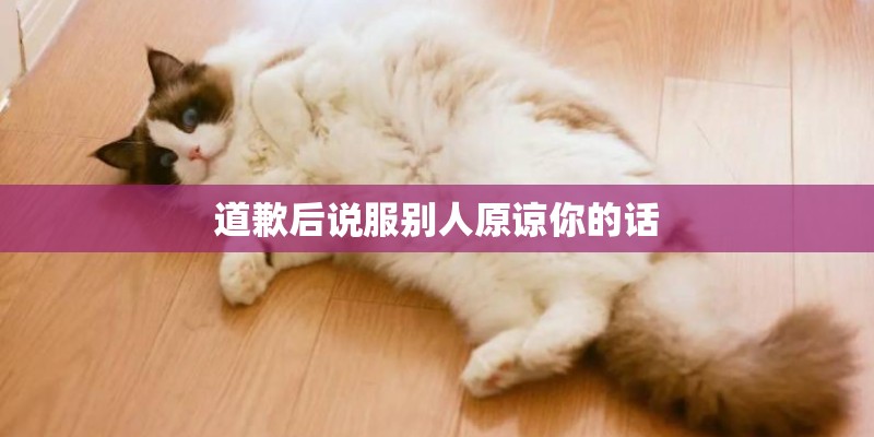 道歉后说服别人原谅你的话