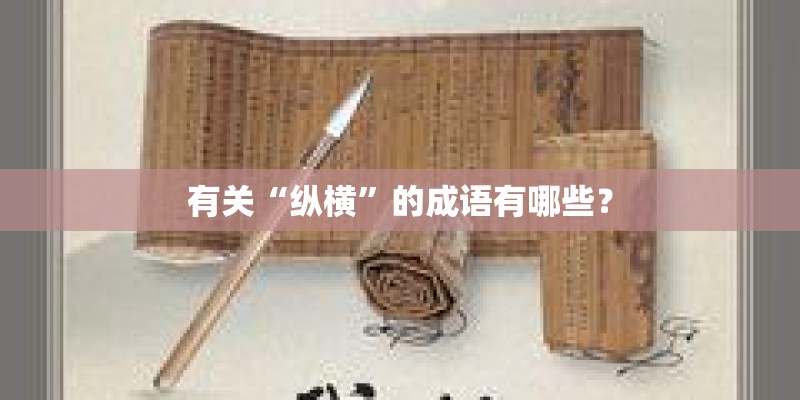 有关“纵横”的成语有哪些？