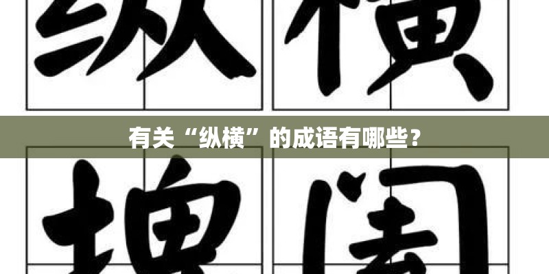 有关“纵横”的成语有哪些？
