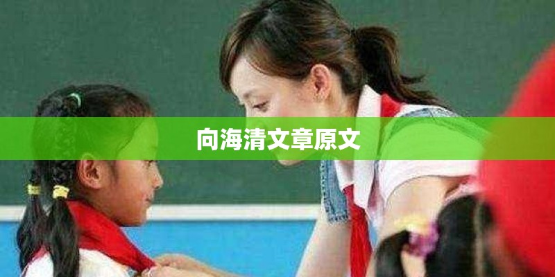 向海清文章原文