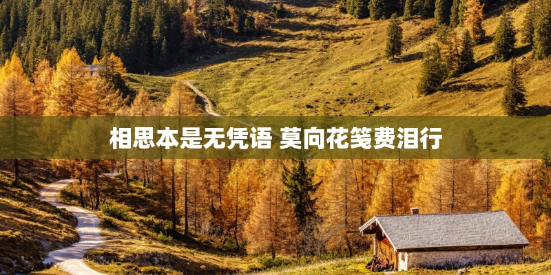 相思本是无凭语 莫向花笺费泪行